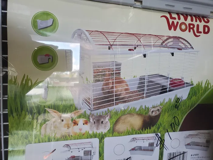 Pet Shop Picture 1