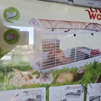 Pet Shop ico