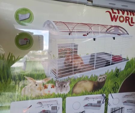 Pet Shop