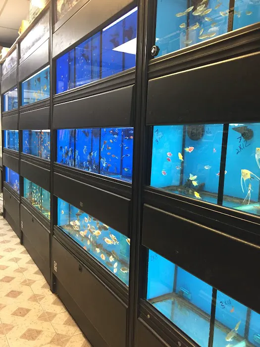 Pet Shop Picture 7