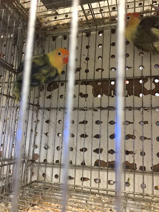 Pet Shop Picture 4