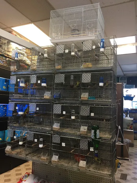 Pet Shop Picture 6