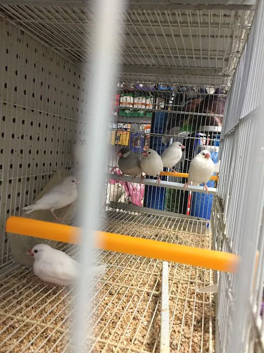 Pet Shop Picture 5