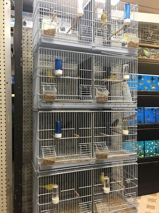 Pet Shop Picture 10