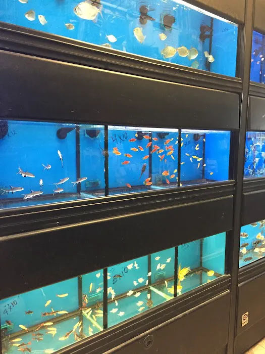 Pet Shop Picture 9