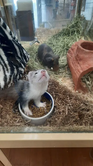 Pet Supermarket Picture 2