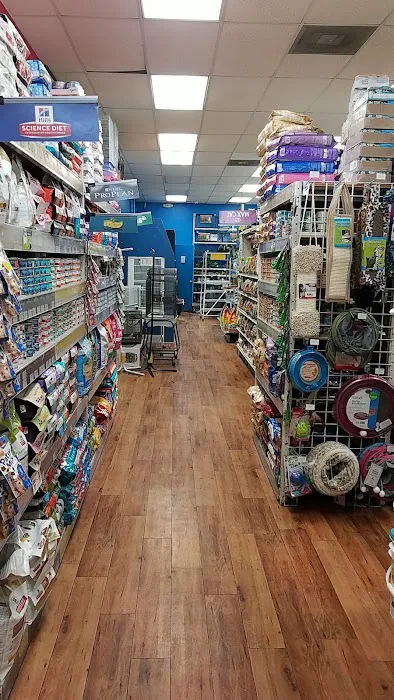 Pet Supermarket Picture 4