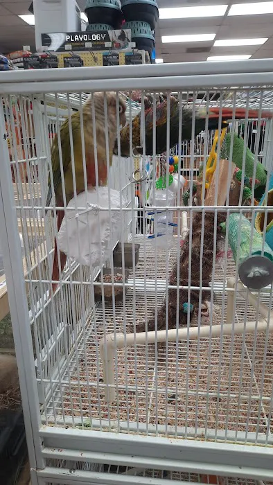 Pet Supermarket Picture 5