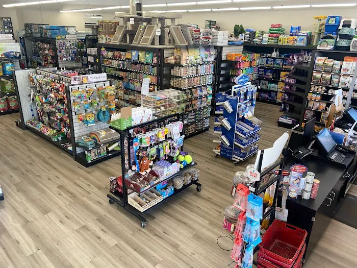 Pet Supermarket Picture 8