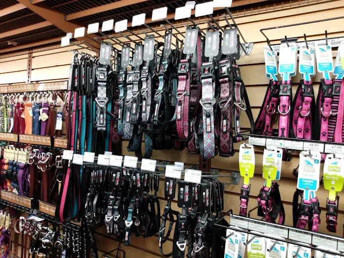 Pet Supermarket Picture 7