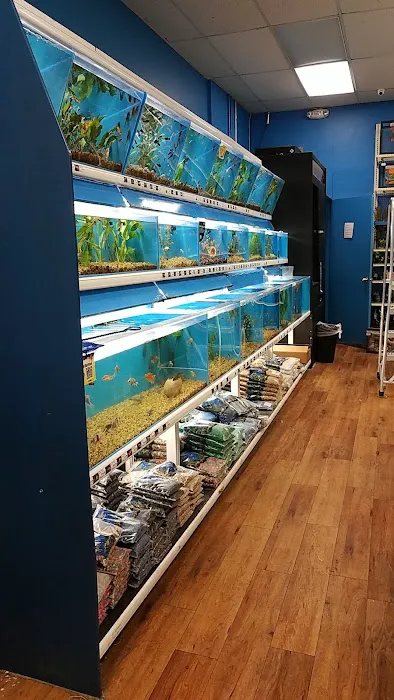 Pet Supermarket Picture 9