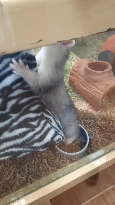 Pet Supermarket Picture 10