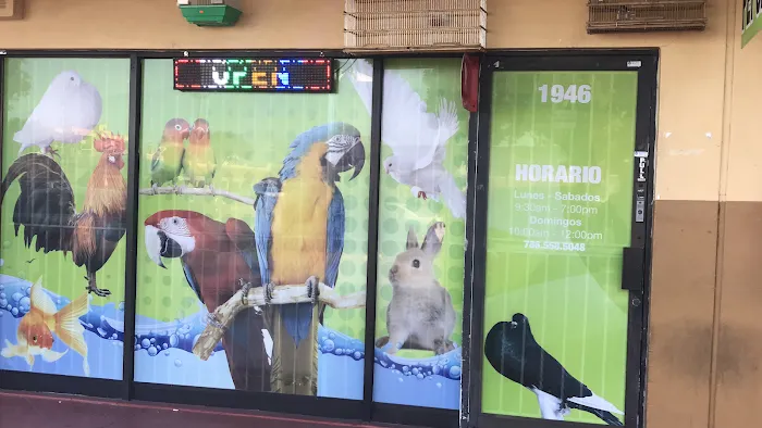 60 Pet Shop Miami Picture 2