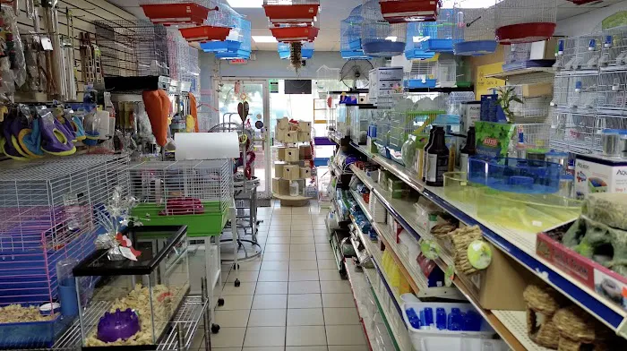 60 Pet Shop Miami Picture 4