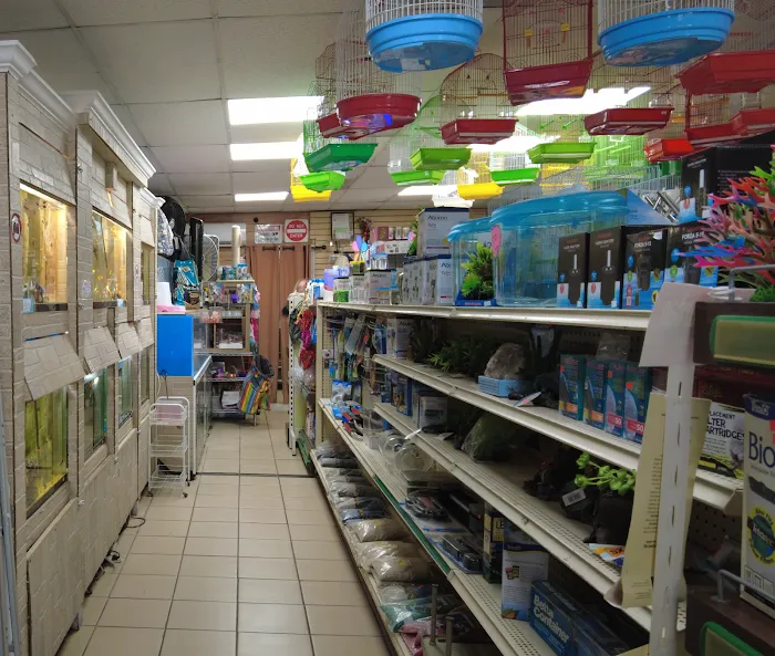 60 Pet Shop Miami Picture 10