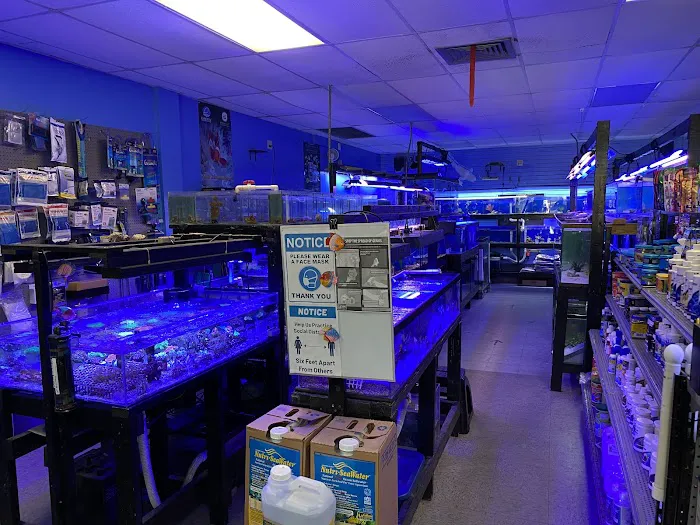 Aquarium Depot Picture 6