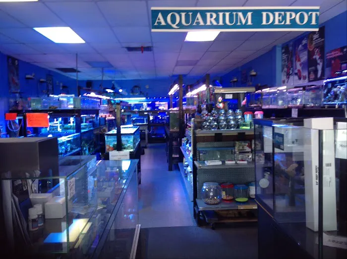 Aquarium Depot Picture 3
