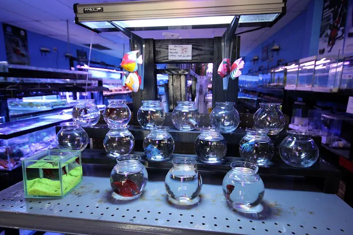 Aquarium Depot Picture 8