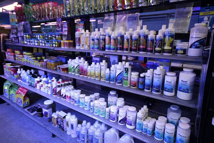 Aquarium Depot Picture 5