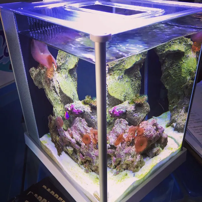 Aquarium Depot Picture 4