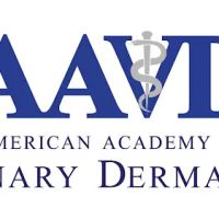American Academy-Vet Dermatology ico