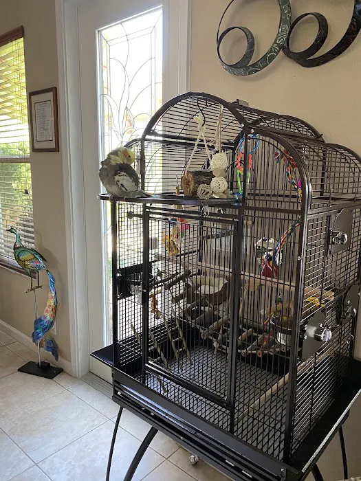 Bonka Bird Toys Picture 4