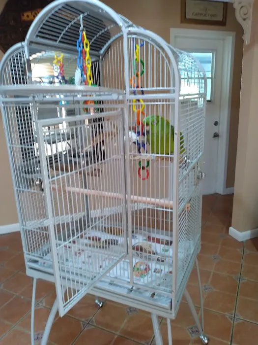 Bonka Bird Toys Picture 10