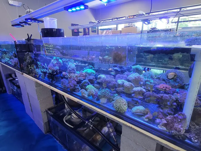 Professional Fish Keepers Picture 1