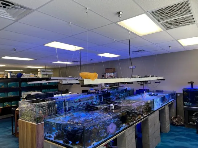 Professional Fish Keepers Picture 2
