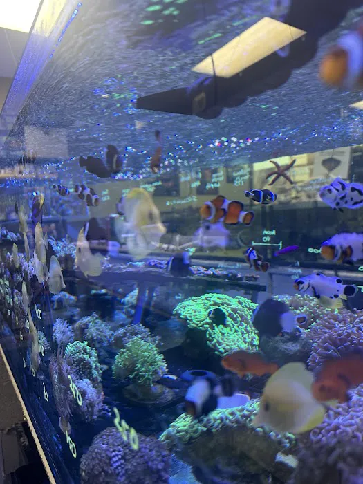 Professional Fish Keepers Picture 6