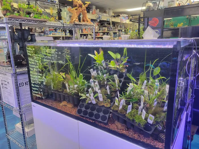 Professional Fish Keepers Picture 7
