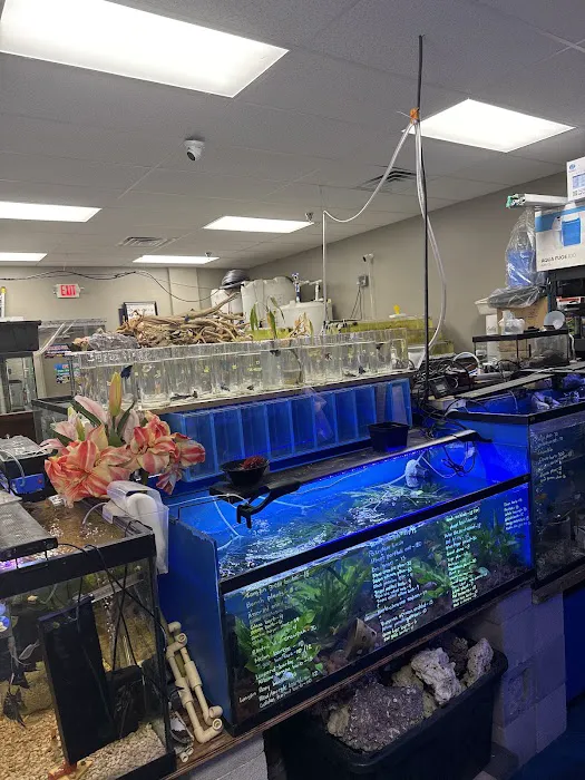 Professional Fish Keepers Picture 4