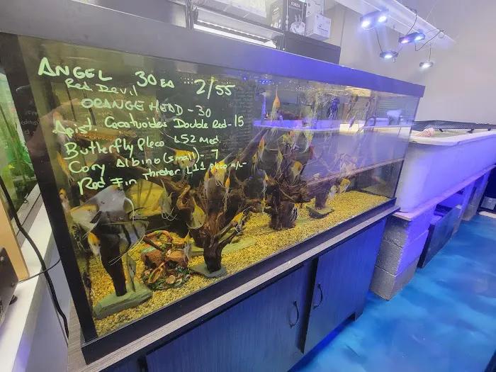 Professional Fish Keepers Picture 8