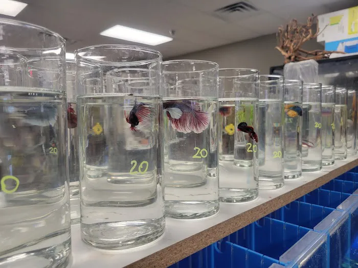 Professional Fish Keepers Picture 10