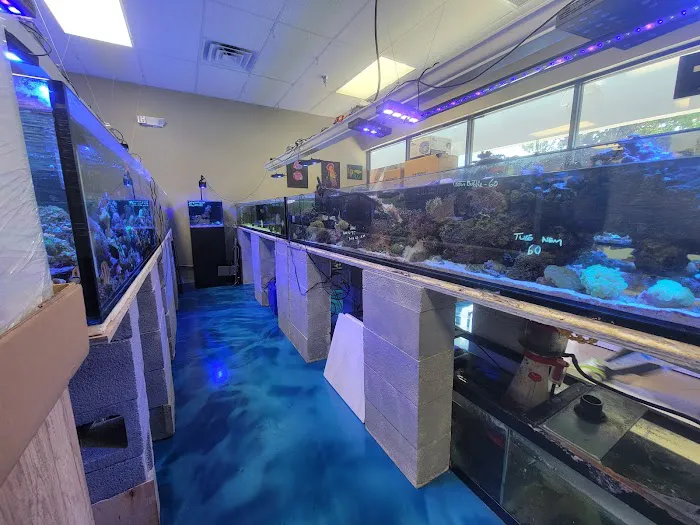 Professional Fish Keepers Picture 9