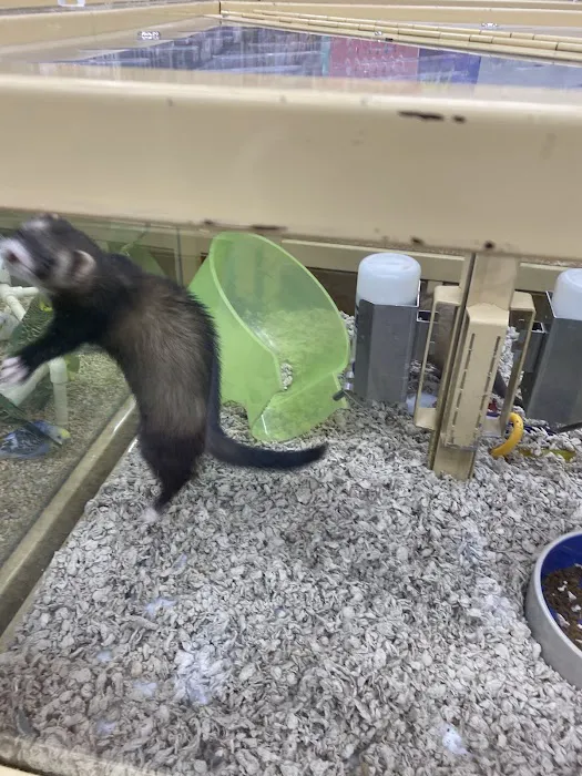 Pet Supermarket Picture 2