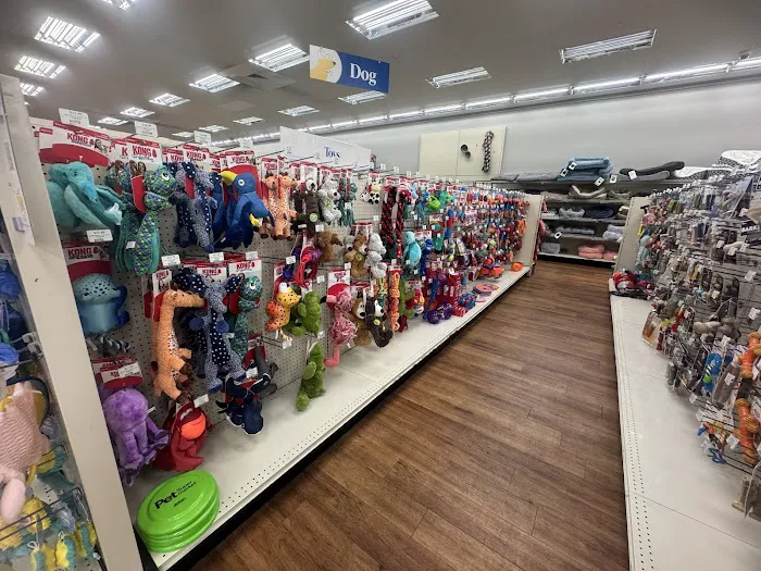Pet Supermarket Picture 8