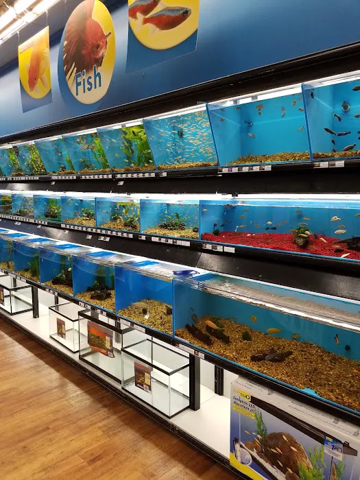 Pet Supermarket Picture 6