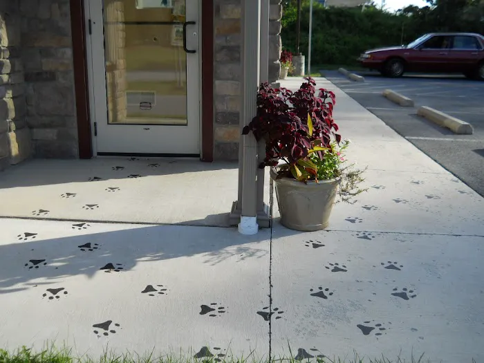 Holly Pike Animal Hospital Picture 3