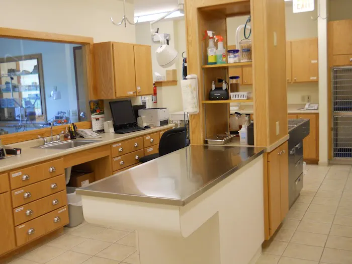 Holly Pike Animal Hospital Picture 4