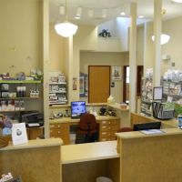 Holly Pike Animal Hospital ico