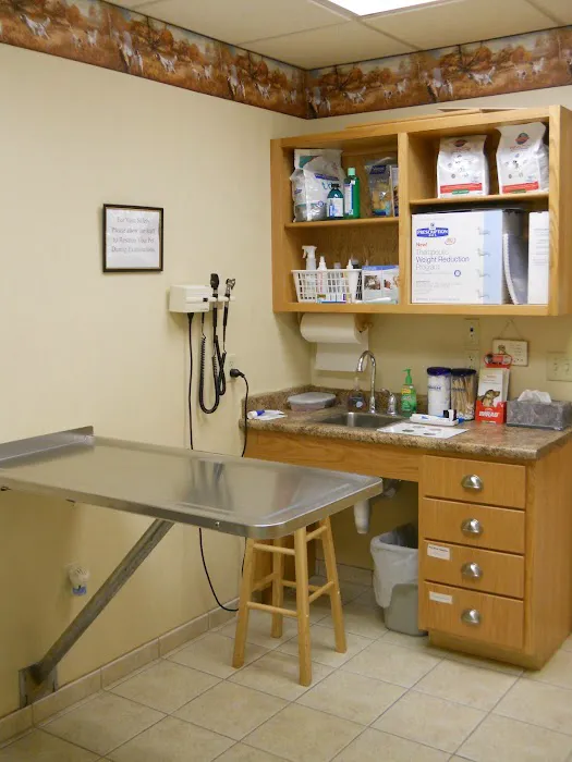 Holly Pike Animal Hospital Picture 8