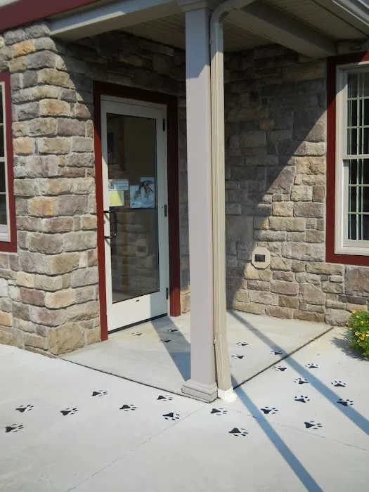 Holly Pike Animal Hospital Picture 9
