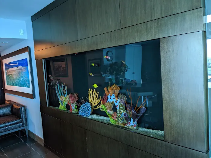 Champion Aquariums Picture 2