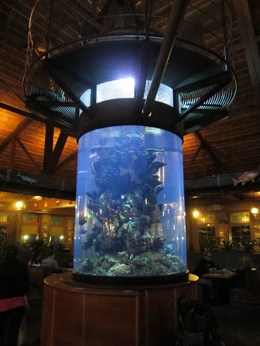 Champion Aquariums Picture 4