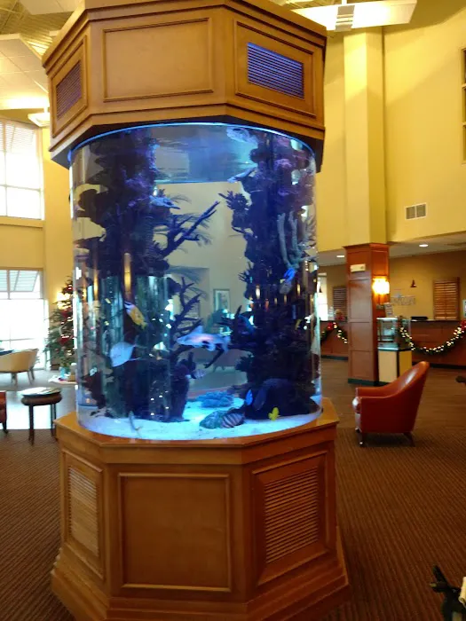 Champion Aquariums Picture 8