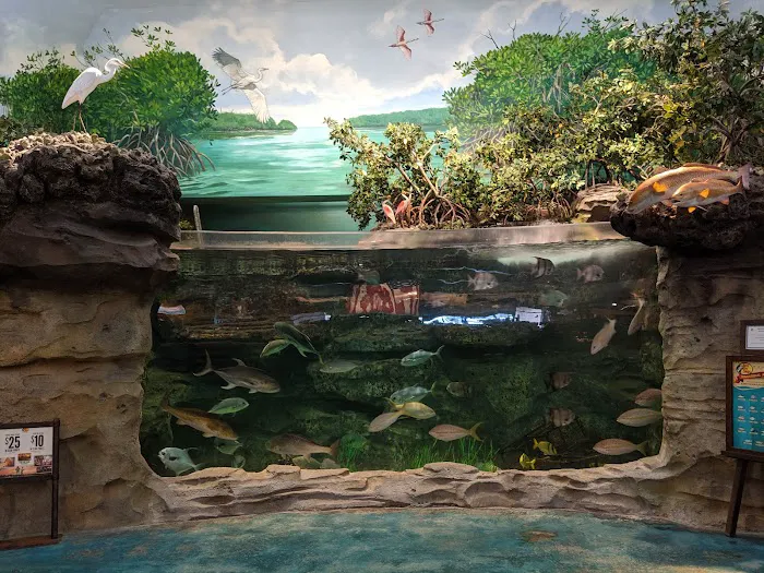 Champion Aquariums Picture 10