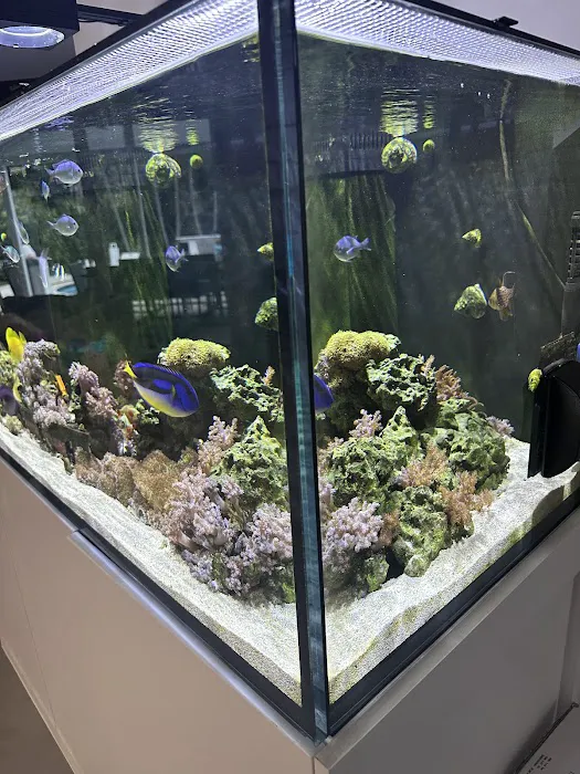 Champion Aquariums Picture 7