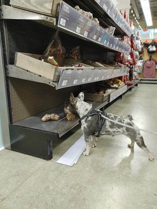 Petco Picture 3