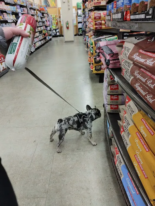 Petco Picture 6